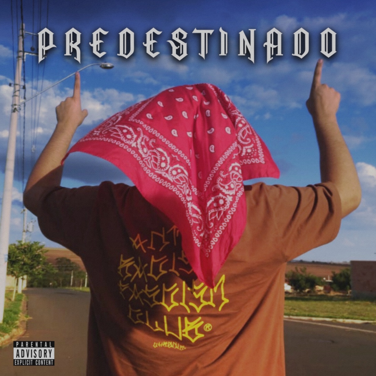 Predestinado - Single by Dreeyzy album cover