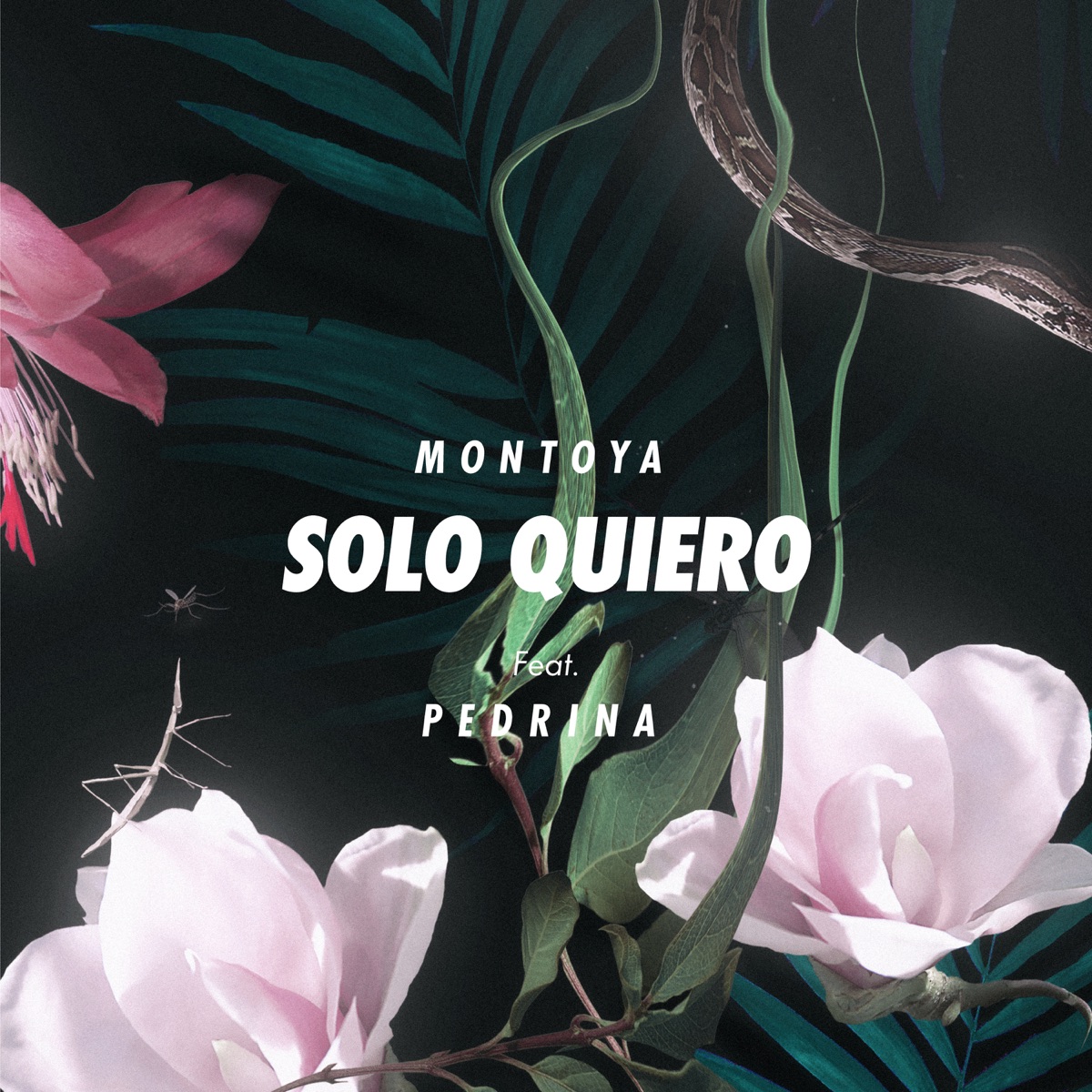 Solo Quiero - Single by Montoya & Pedrina album cover
