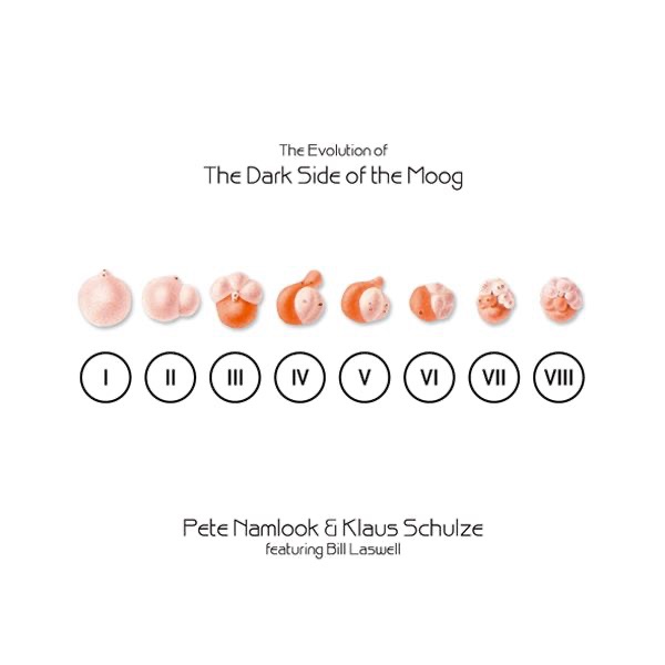 The Evolution of the Dark Side of the Moog by Pete Namlook & Klaus Schulze featuring Bill Laswell album cover