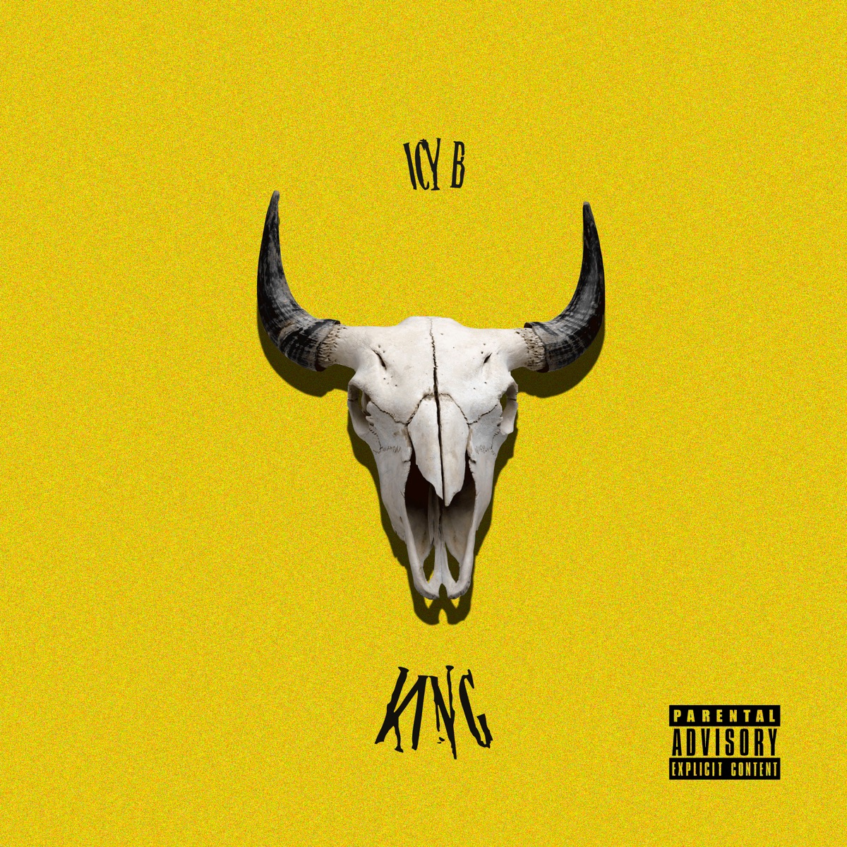 King - Single by Maddox & Icy B album cover