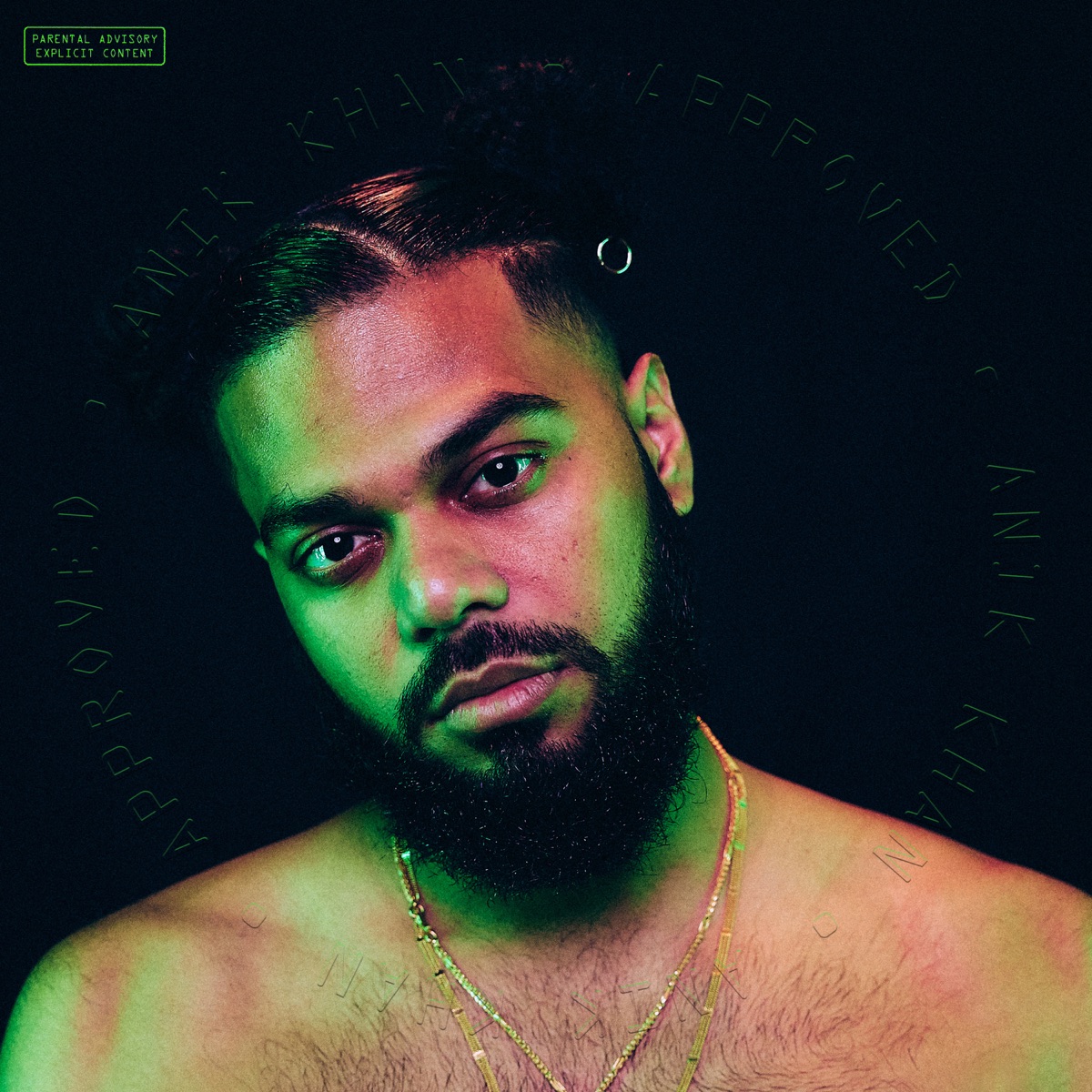 Approved by Anik Khan album cover