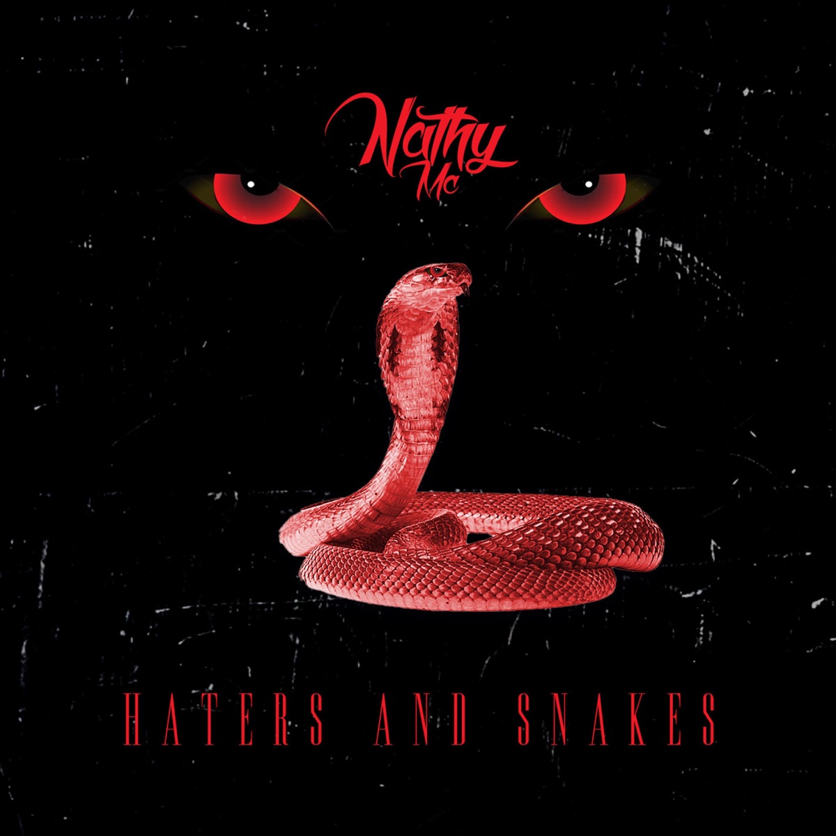 Haters And Snakes (feat. Nathy Mc) - Single by Casa De Musique album cover