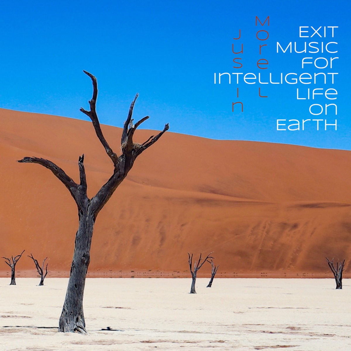 Exit Music for Intelligent Life on Earth by Justin Morell album cover
