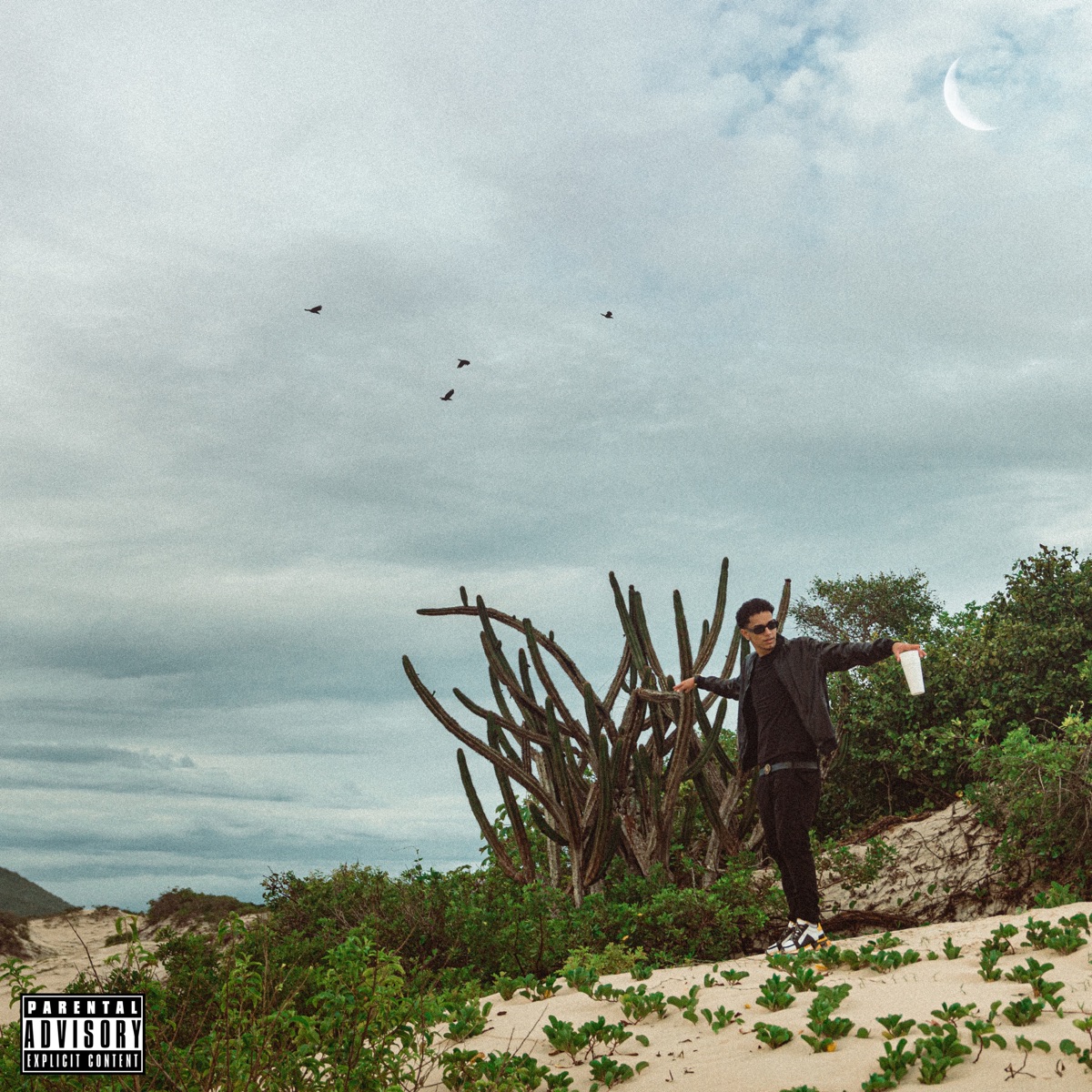 Sigo as Estrelas - Single by Veigh, Nagalli & Hype Me Up album cover