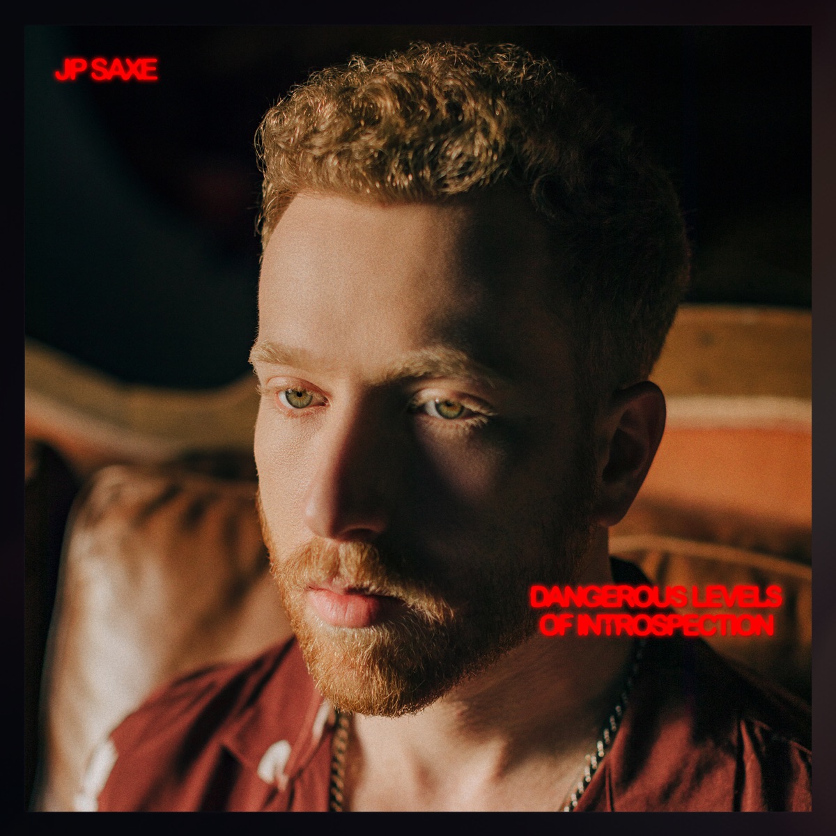 Dangerous Levels of Introspection by JP Saxe album cover
