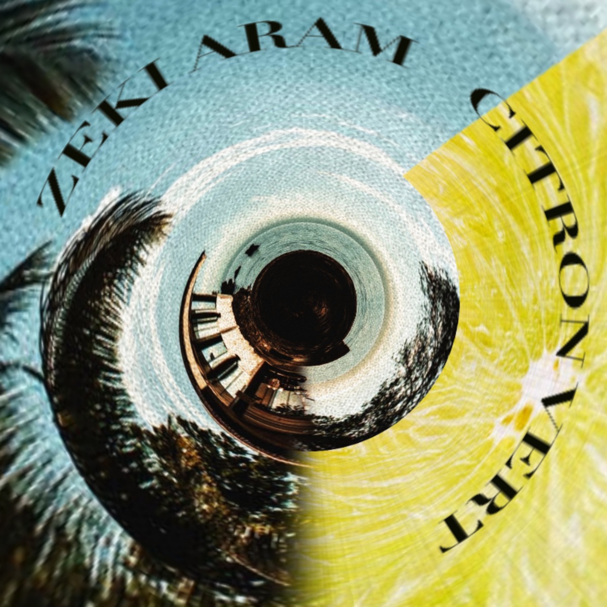 Citron Vert - Single by Zeki Aram album cover
