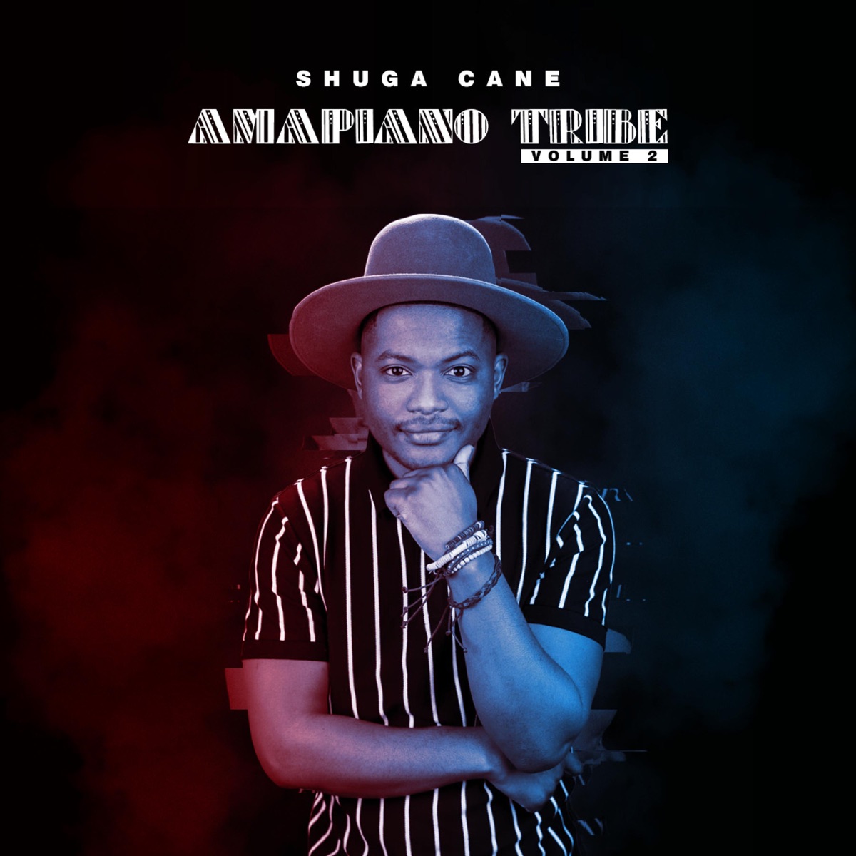 Amapiano Tribe 2 by Shuga Cane album cover