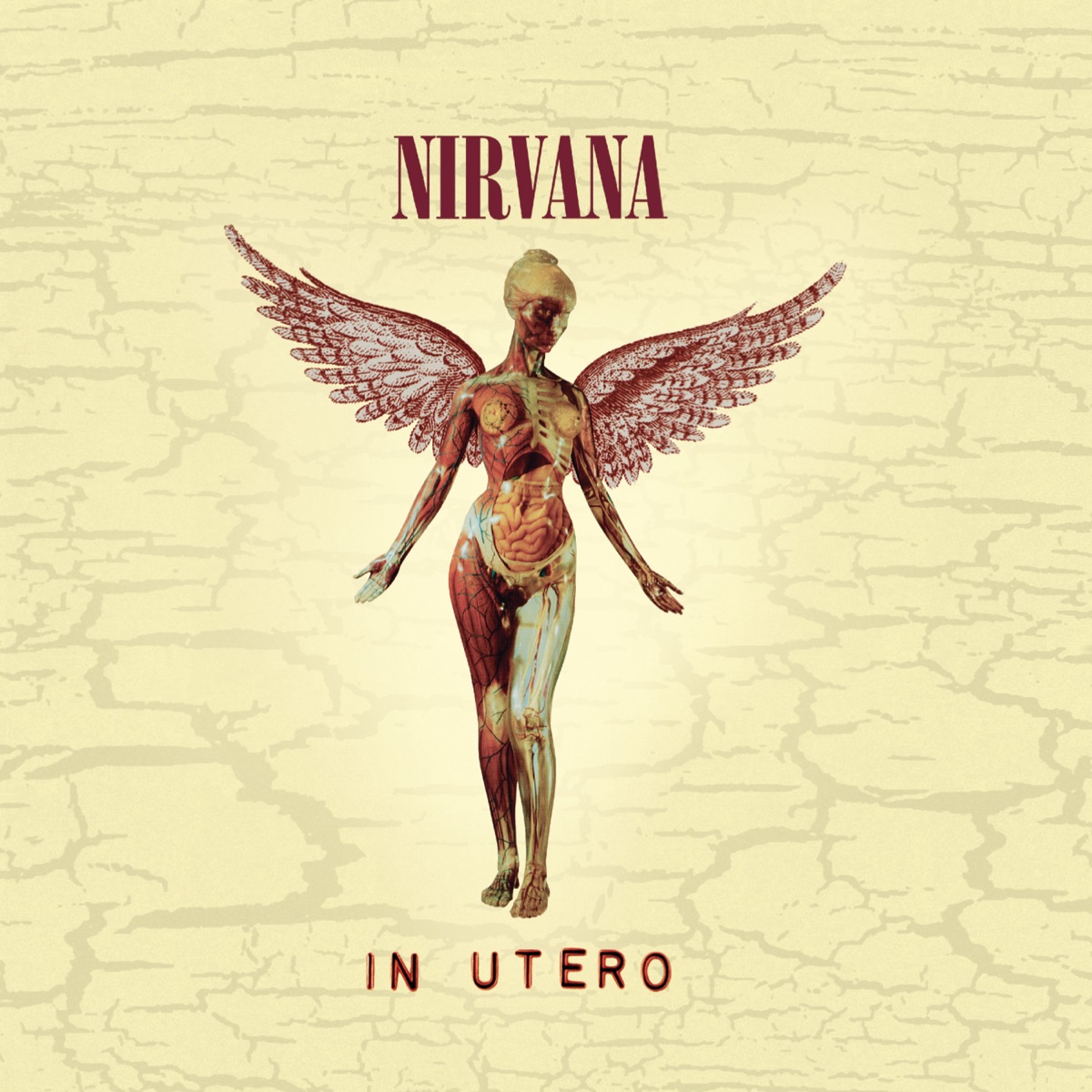 In Utero (20th Anniversary Edition) by Nirvana album cover
