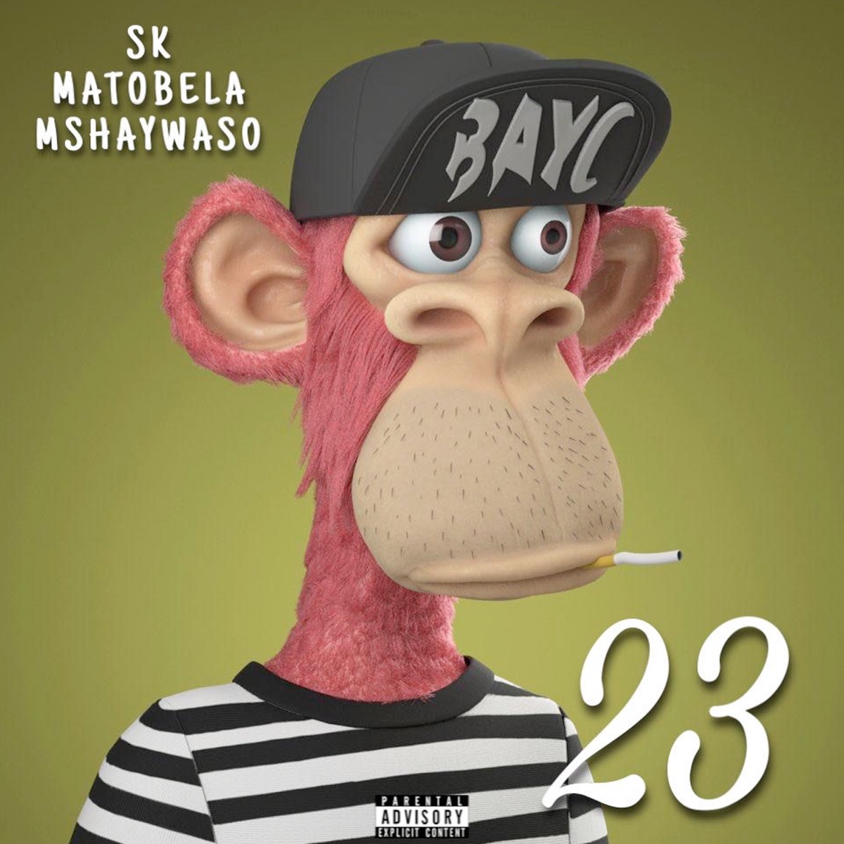 Twenty Three - Single by SKMATOBELA MSHAYWASO album cover