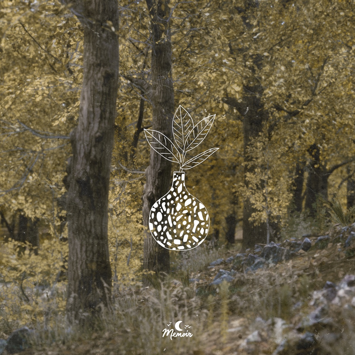Staying In by Chris Mazuera & tender spring album cover