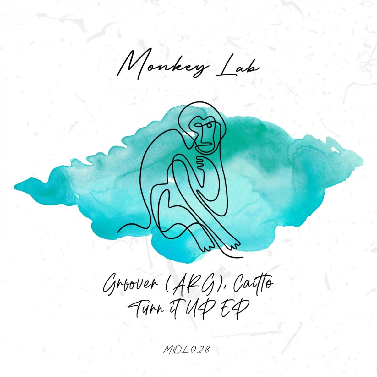 Turn It Up - Single by Groover (ARG) & Caitto album cover