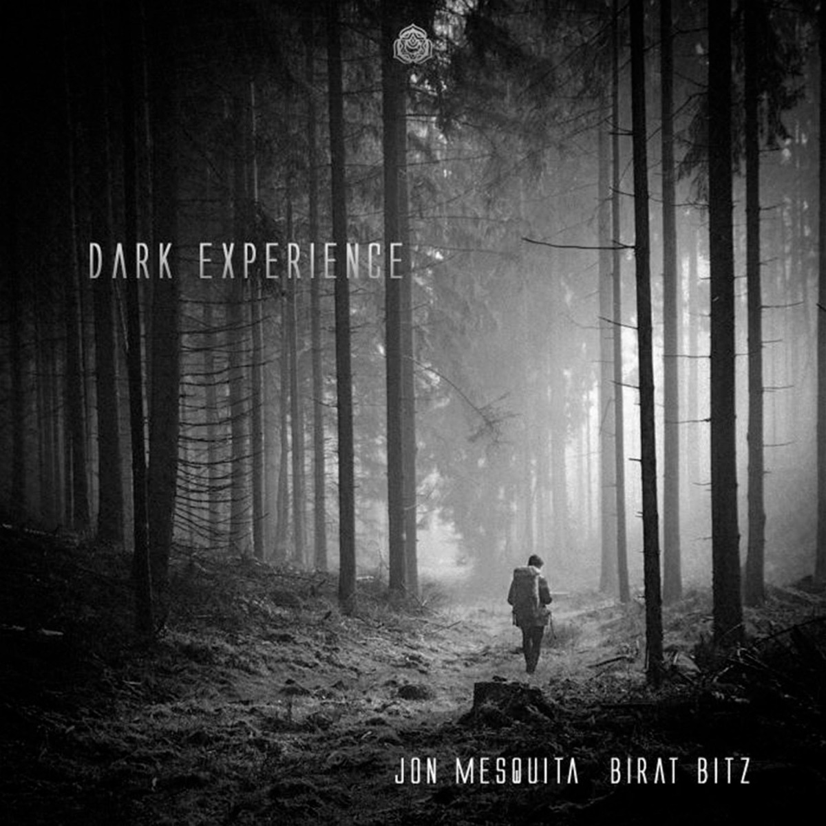Dark Experience - Single by Jon Mesquita & Birat Bitz album cover