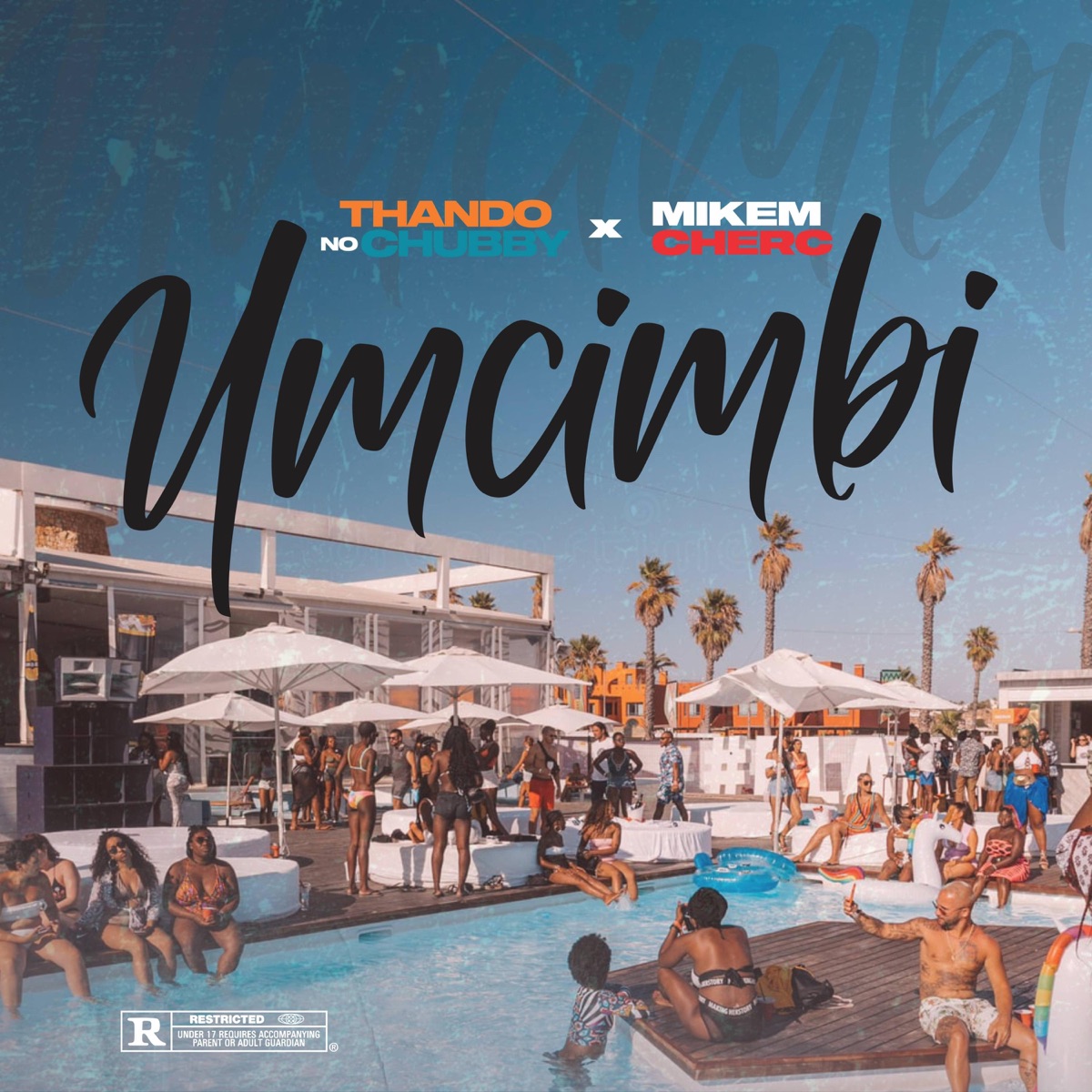 Umcimbi - Single by Mikem Cherc & The Vocal SZN album cover