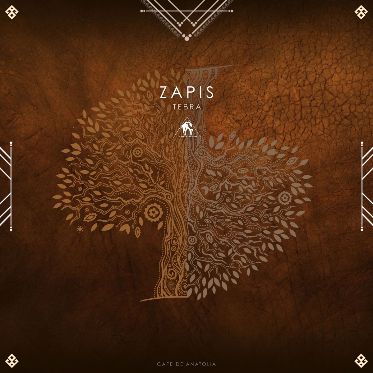 Zapis - Single by Tebra & Cafe De Anatolia album cover