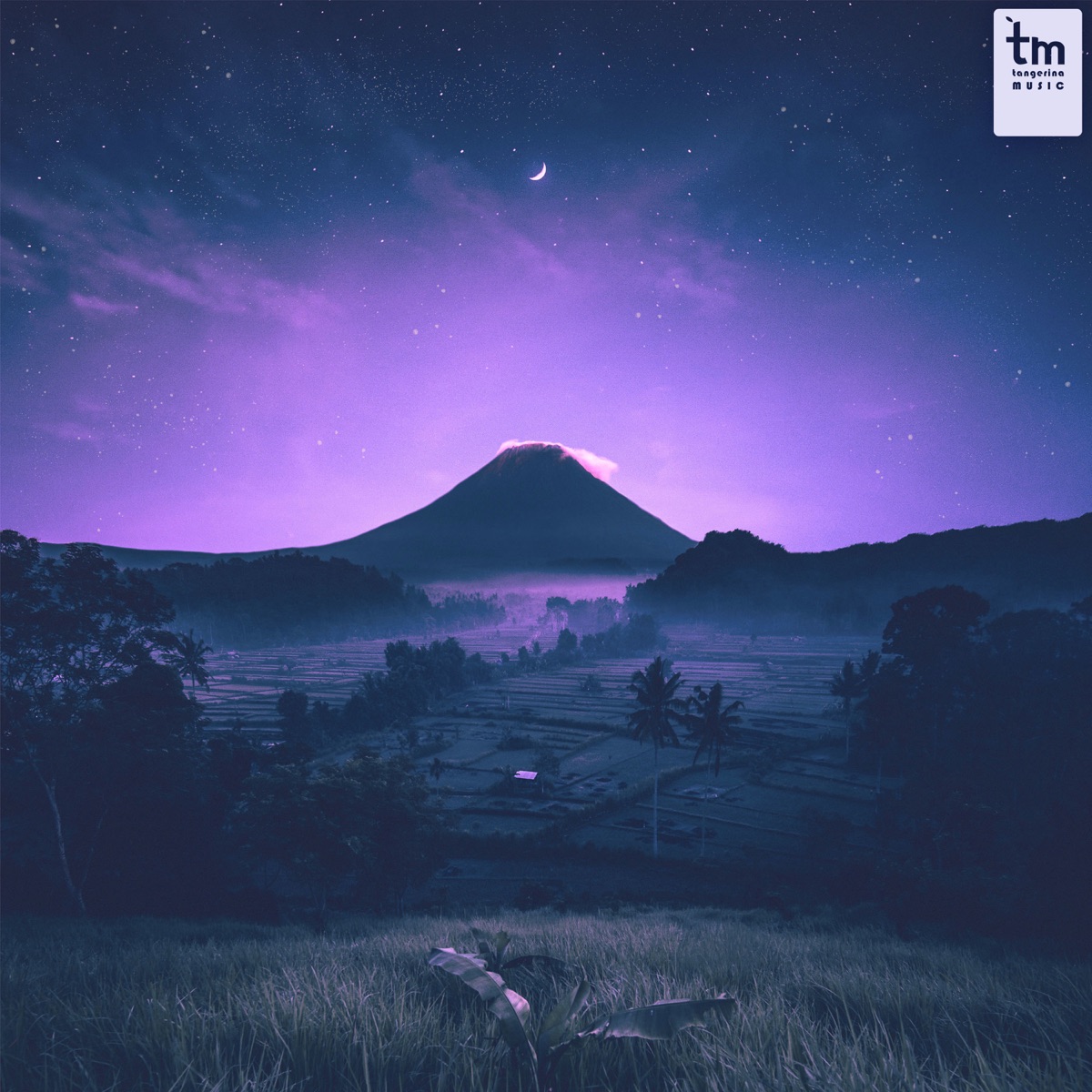 Sommeil Des Fées - Single by Linearwave & FaOut album cover