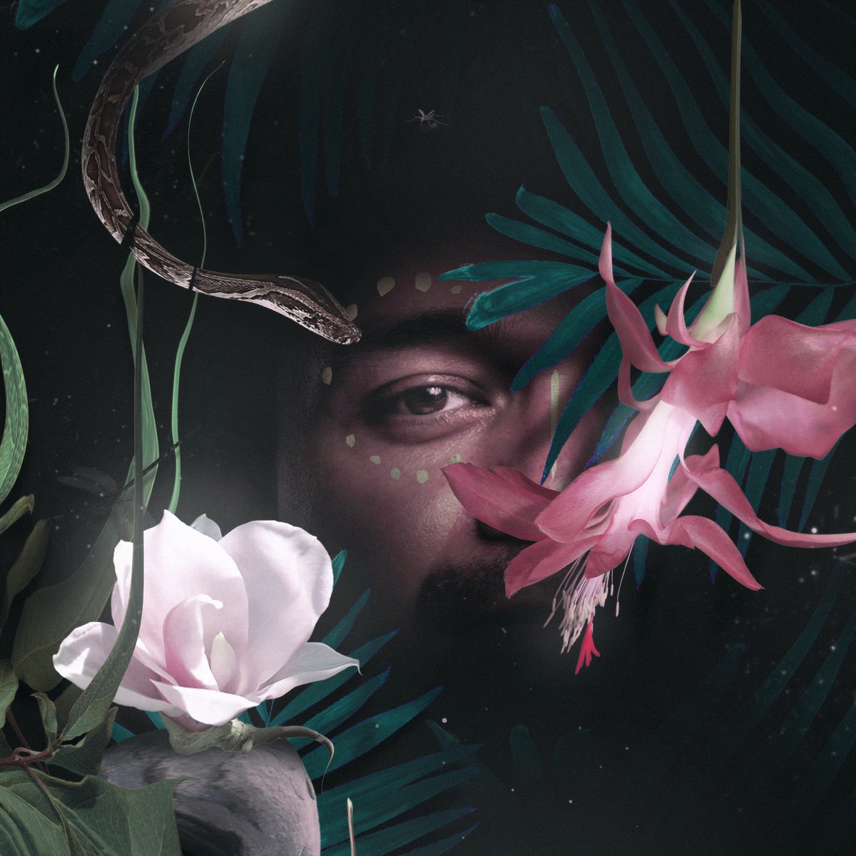 Otun by Montoya album cover