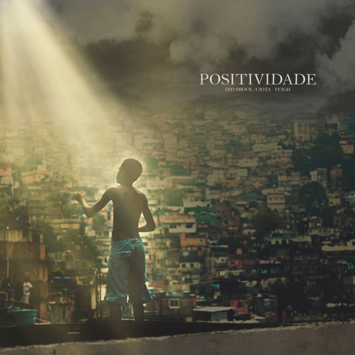 Positividade (feat. Cjota & Veigh) - Single by Did Brock album cover