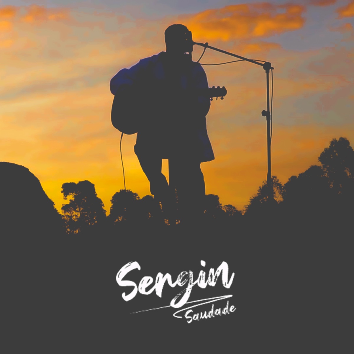 Saudade - Single by Sergin album cover