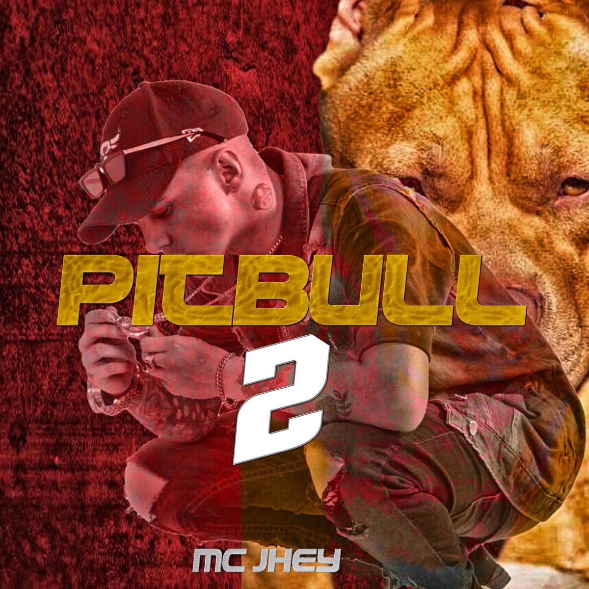 Pitbull 2 - Single by Mc Jhey album cover