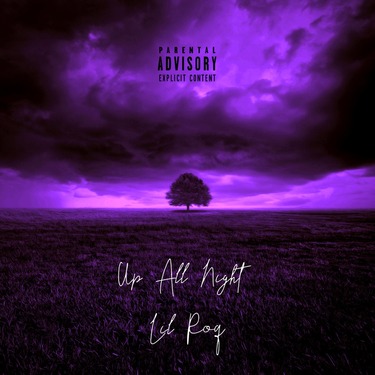 Up All Night - Single by Lil Roq album cover