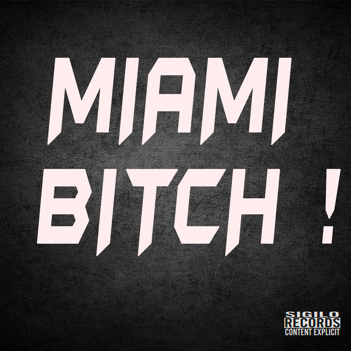 Miami Bitch - Single by Gaxpar ferraz & JXX$ album cover