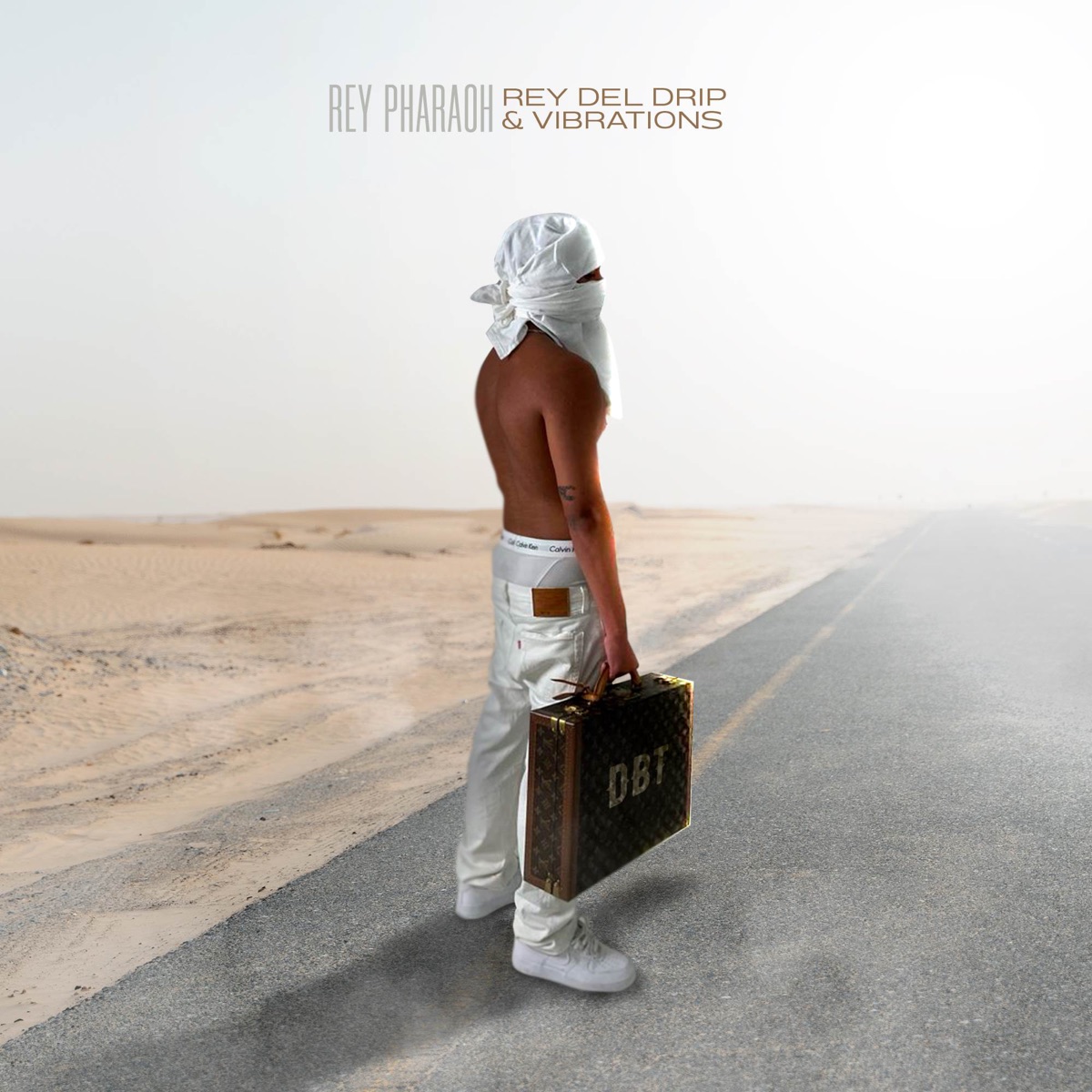 Vibrations - Single by REYPHARAOH album cover