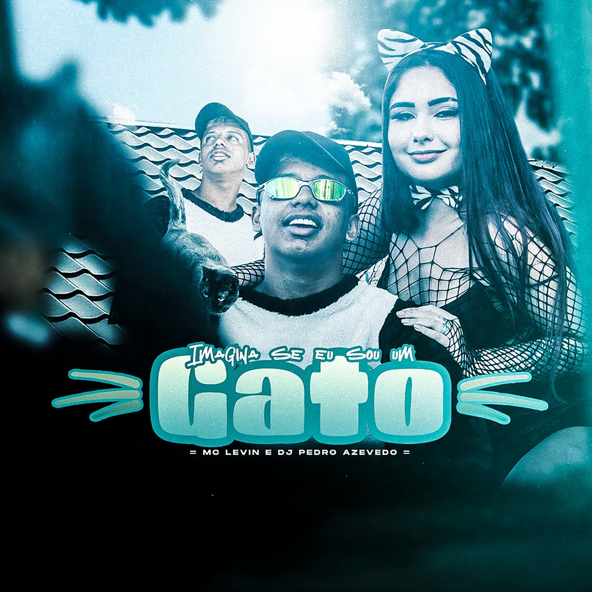 Imagina Se Eu Sou um Gato - Single by MC Levin & Dj Pedro Azevedo album cover