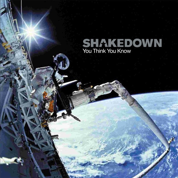 You Think You Know by Shakedown album cover