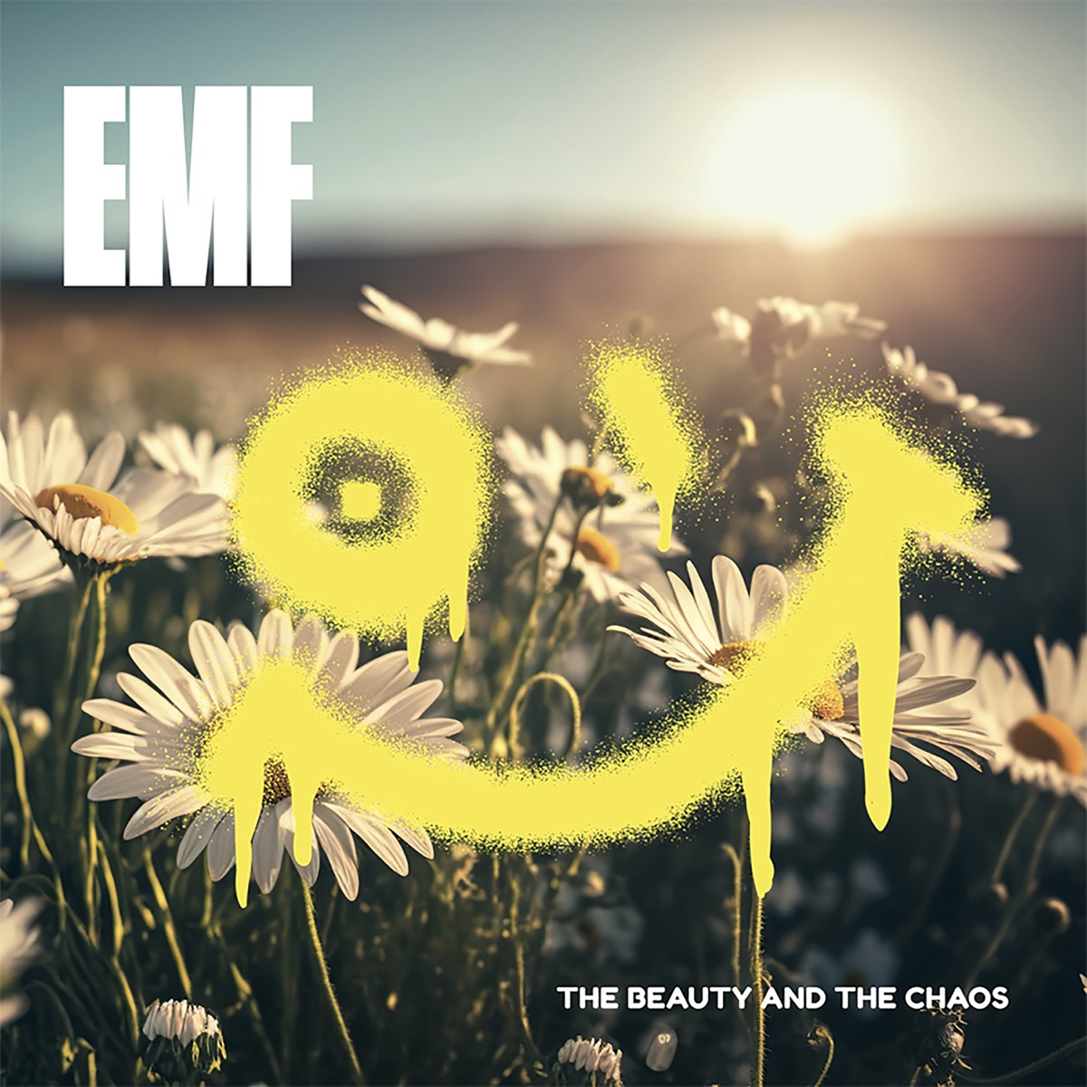 The Beauty and the Chaos by EMF album cover