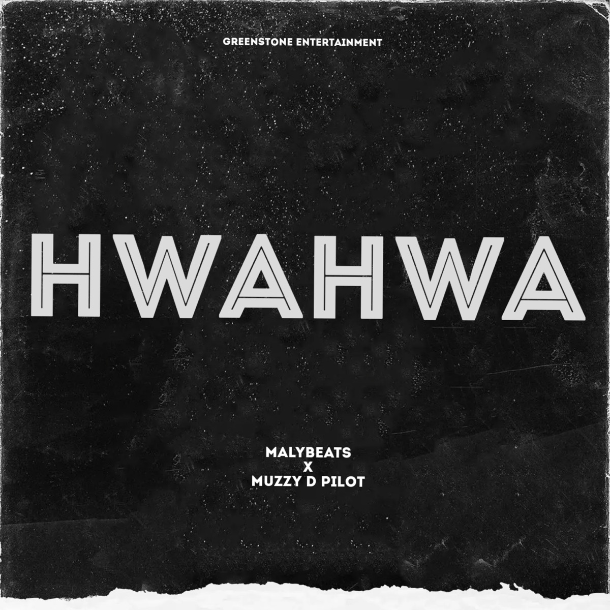 Hwahwa (feat. Muzzy D Pilot) - Single by MalyBeats Zw album cover