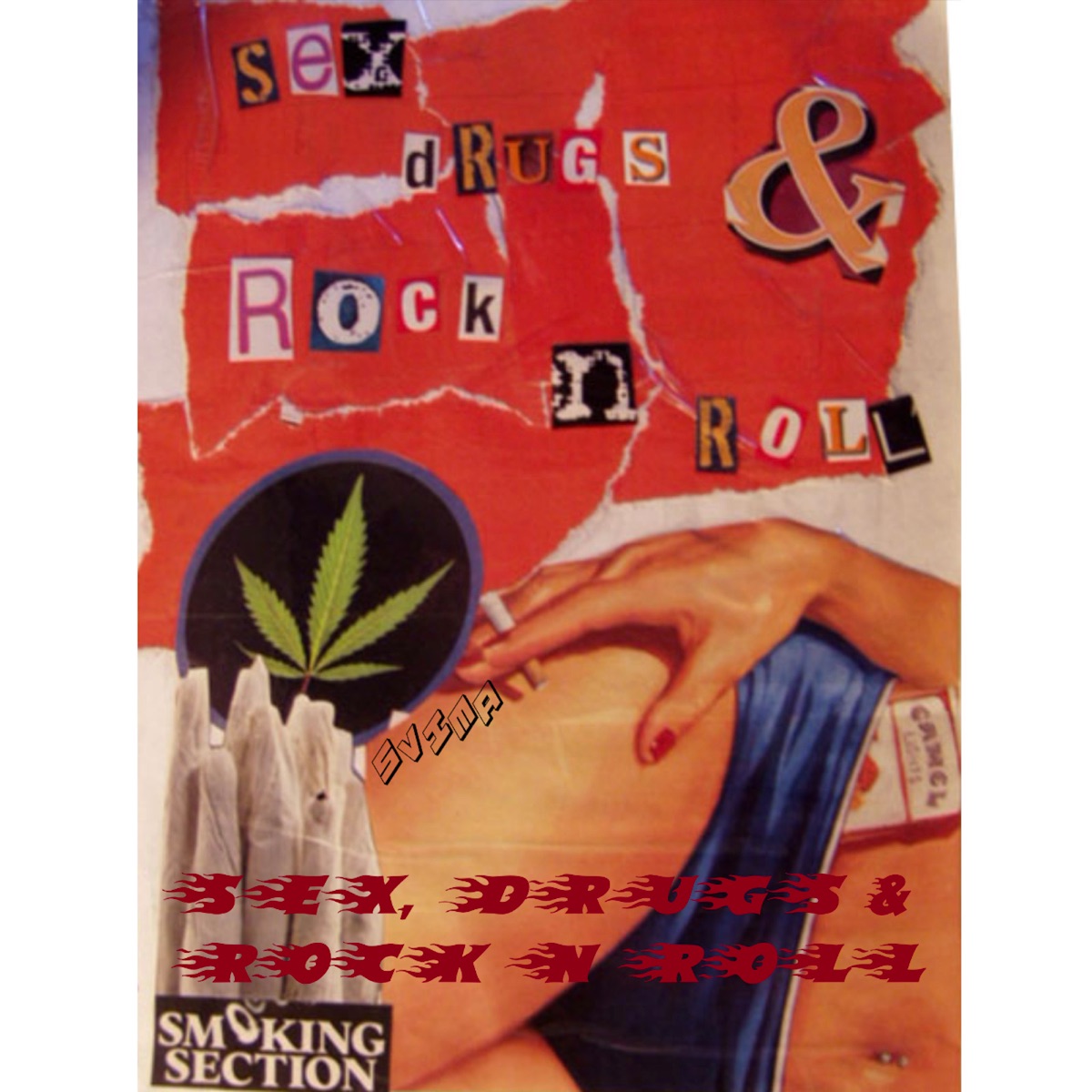 Sex, Drugs & Rock n Roll - Single by SviMA album cover