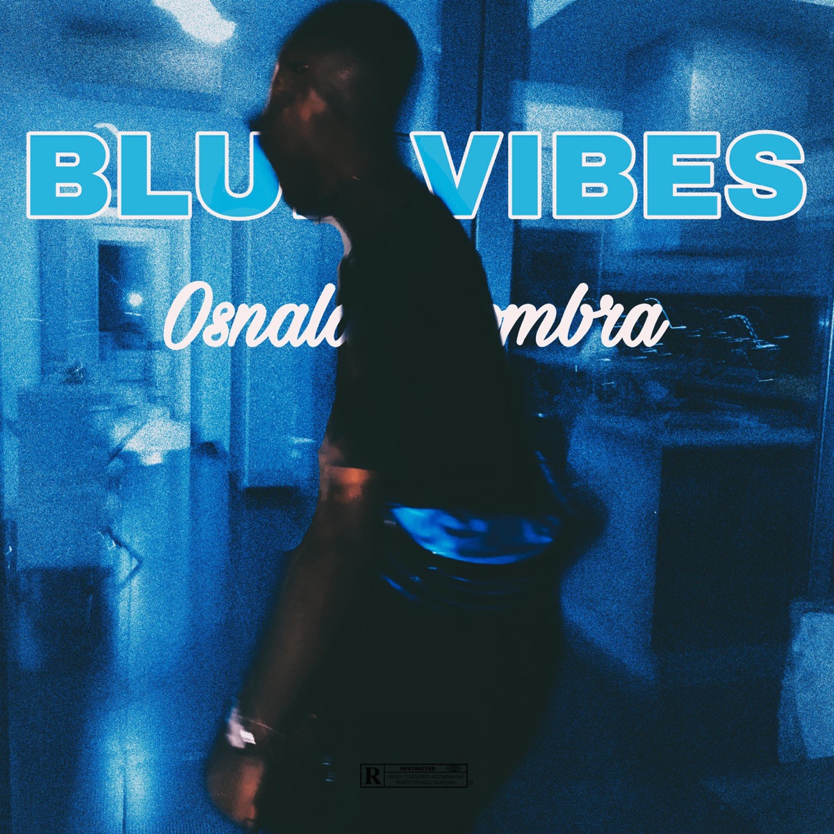 Blue Vibes - Single by Osnaldo Sombra album cover