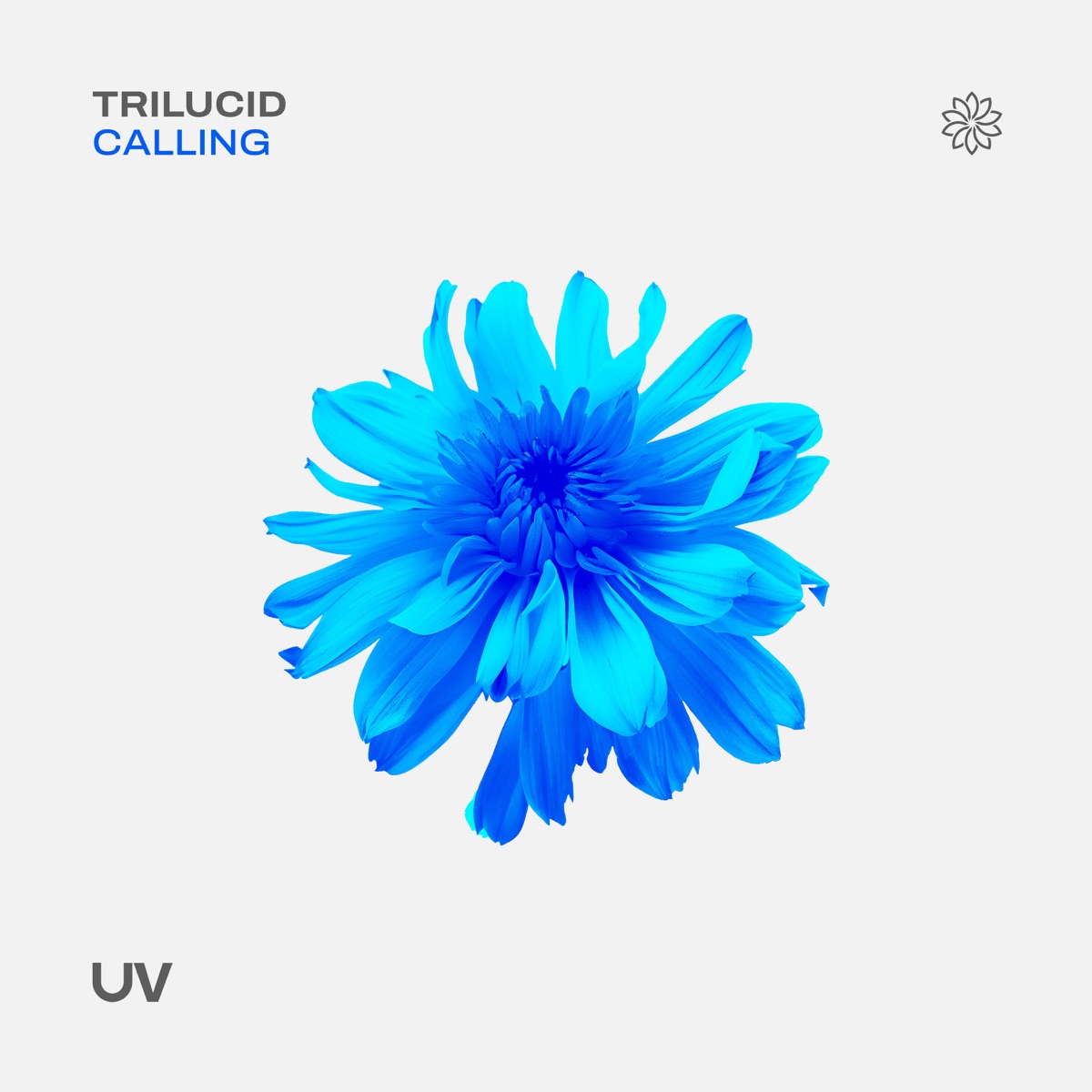 Calling - Single by Trilucid album cover