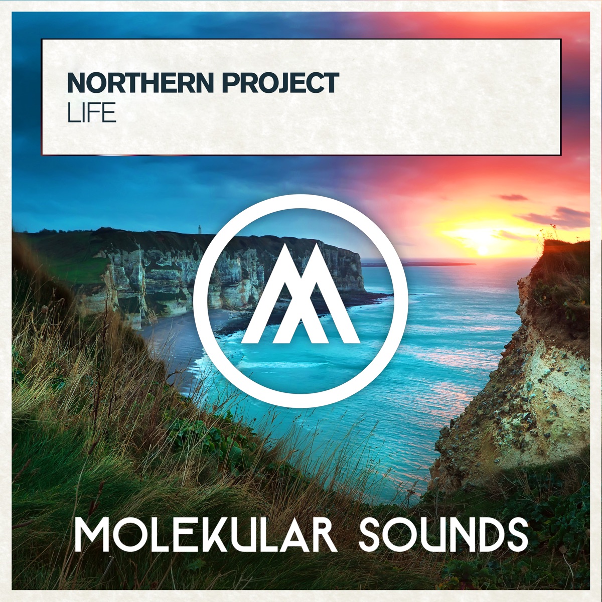 Life - Single by Northern Project album cover