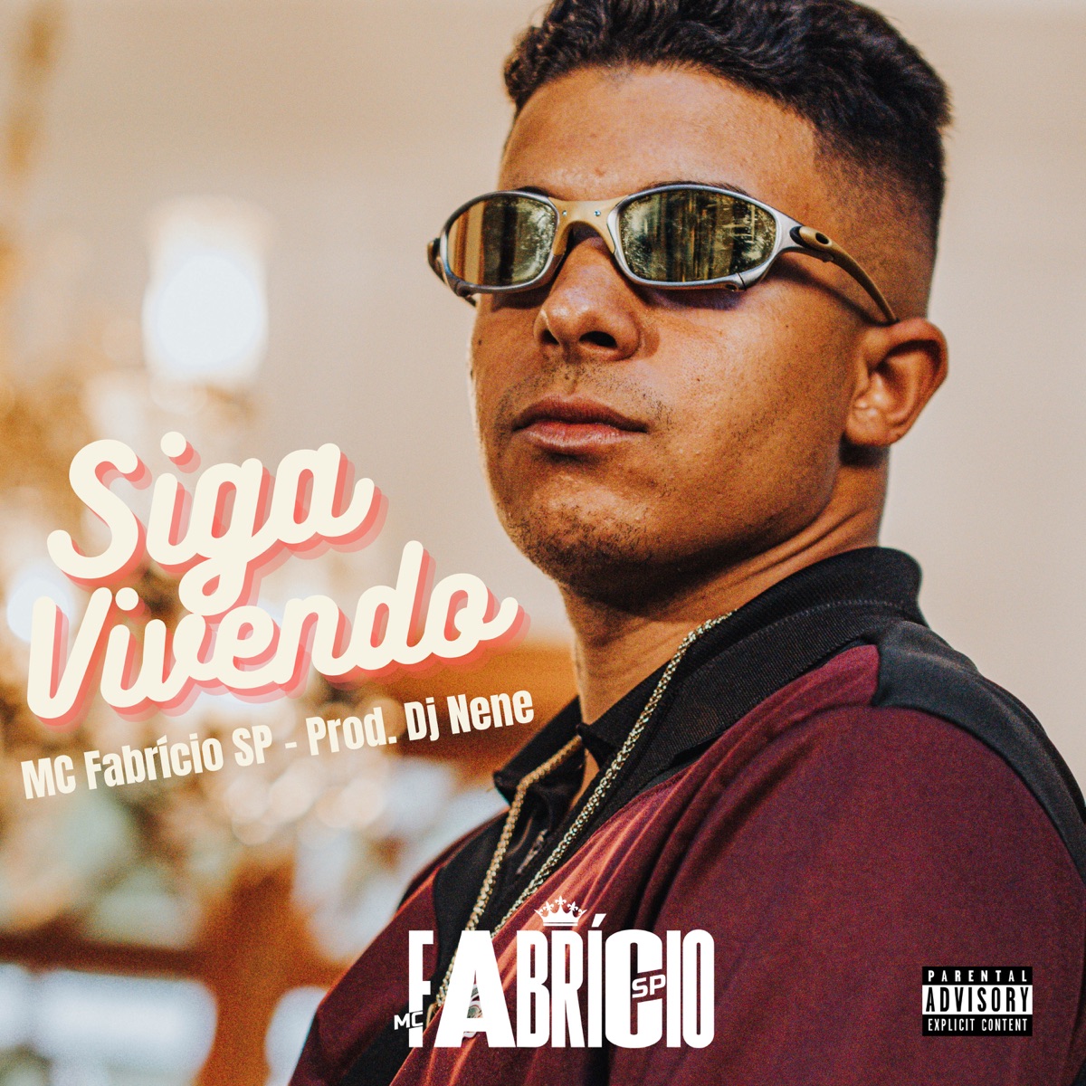 Siga Vivendo - Single by MC Fabrício SP album cover