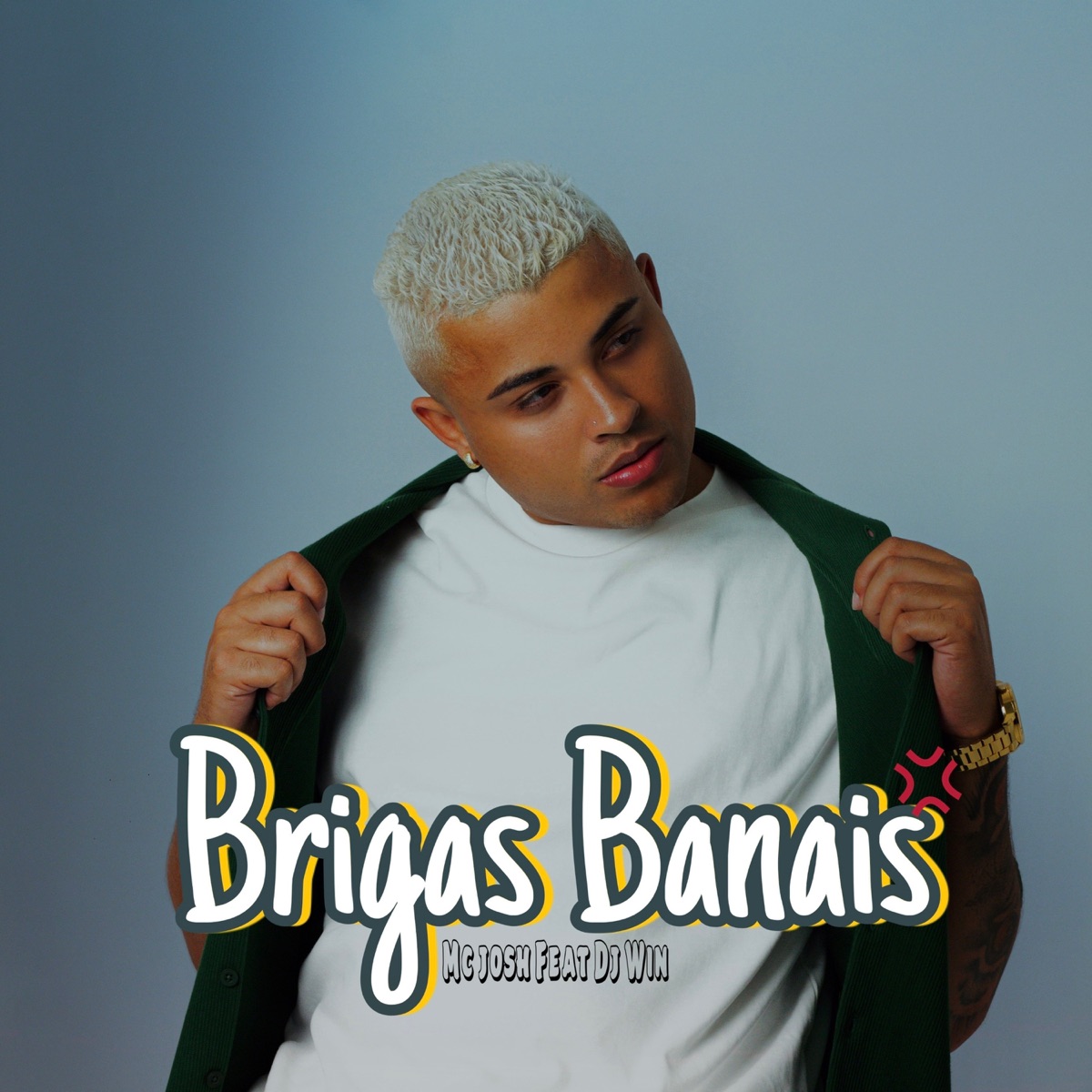 Brigas Banais - Single by MC Josh & DJ Win album cover