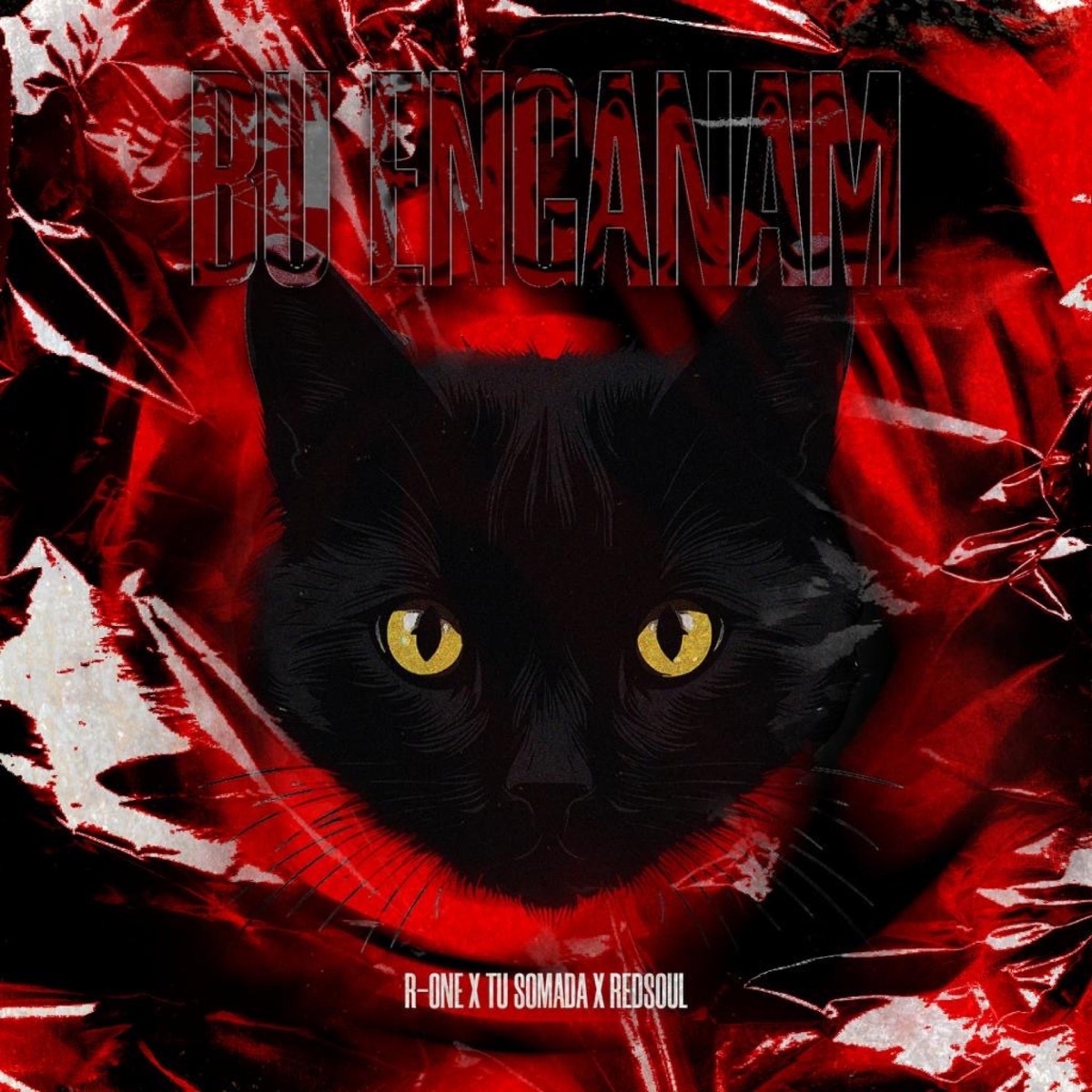 Bu inganan - Single by R_One album cover