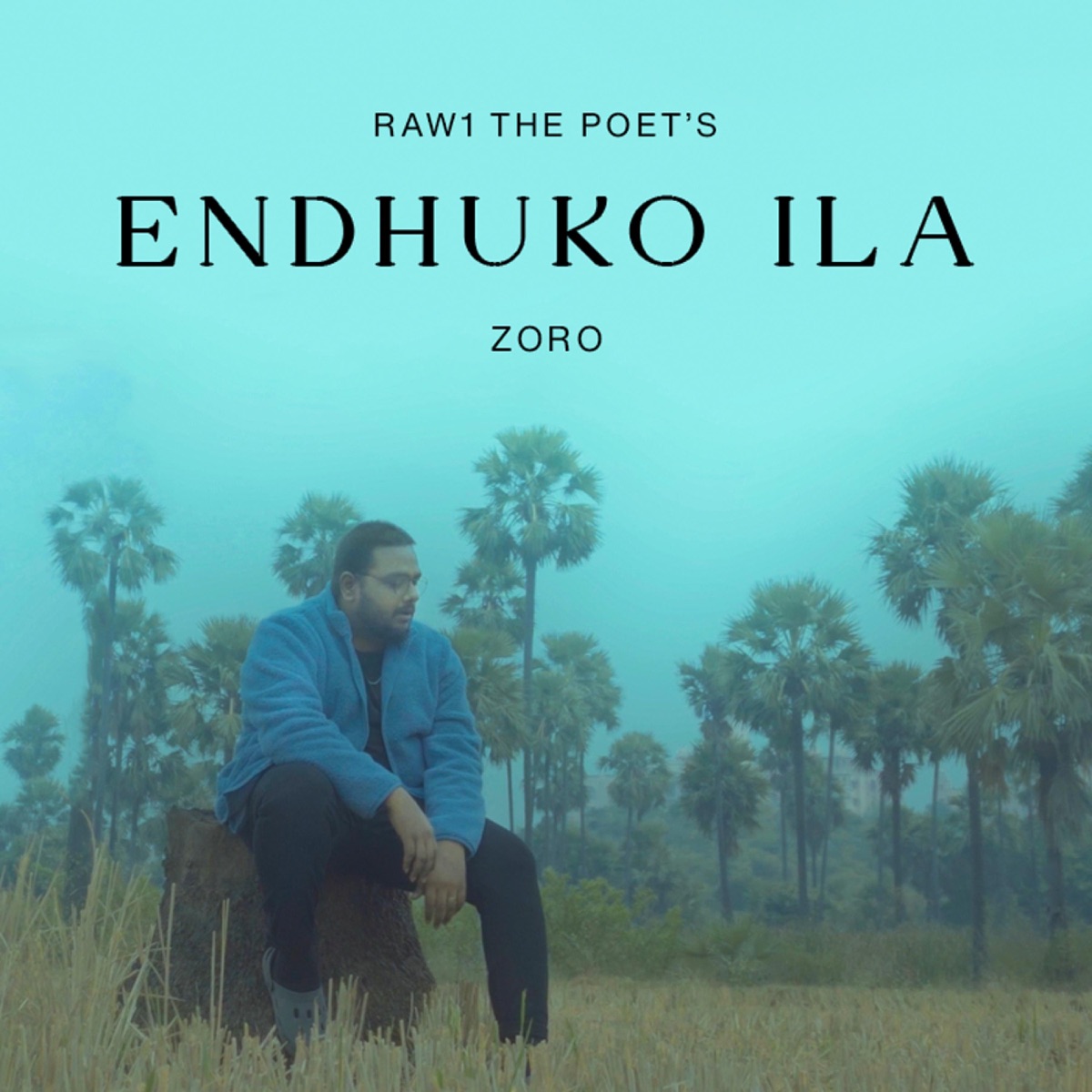 Endhuko Ila - Single by Raw1 The Poet album cover
