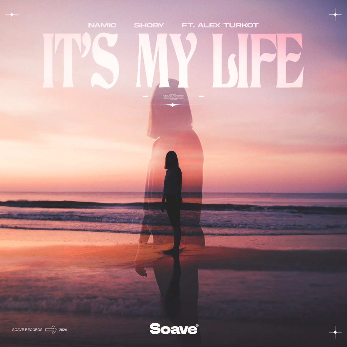 It's My Life (feat. Alex Turkot) - Single by Namic & Shoby album cover