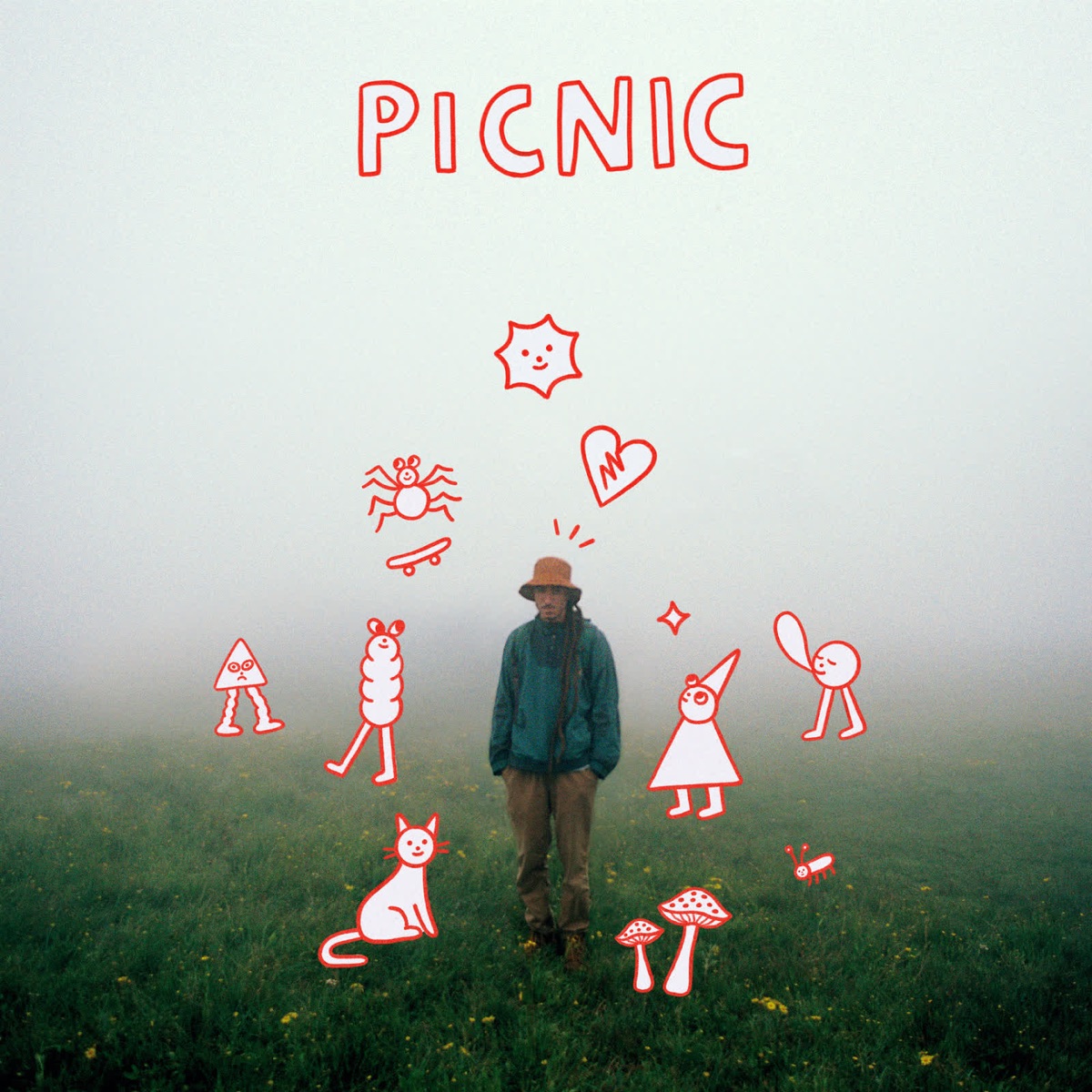 Picnic by Cráneo album cover