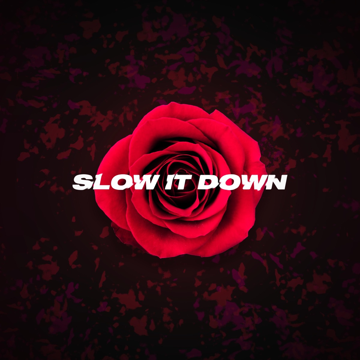 Slow it Down (Rose Version) - Single by shy ink & Kish album cover