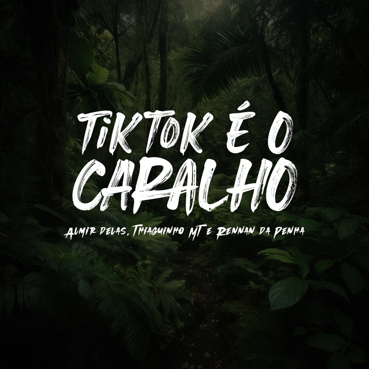 TikTok é o Caralho (feat. Selva Music & Baile da Selva Oficial) - Single by Almir delas, Thiaguinho MT & Rennan da Penha album cover