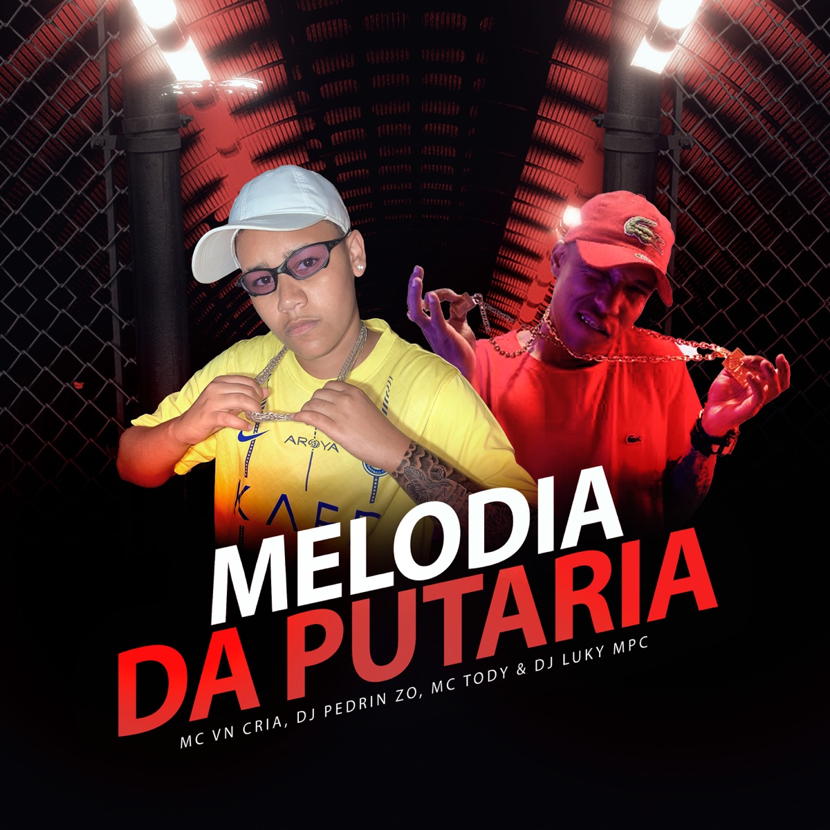 Melodia da Putaria - Single by MC VN Cria, DJ PEDRIN ZO & DJ Luky MPC album cover
