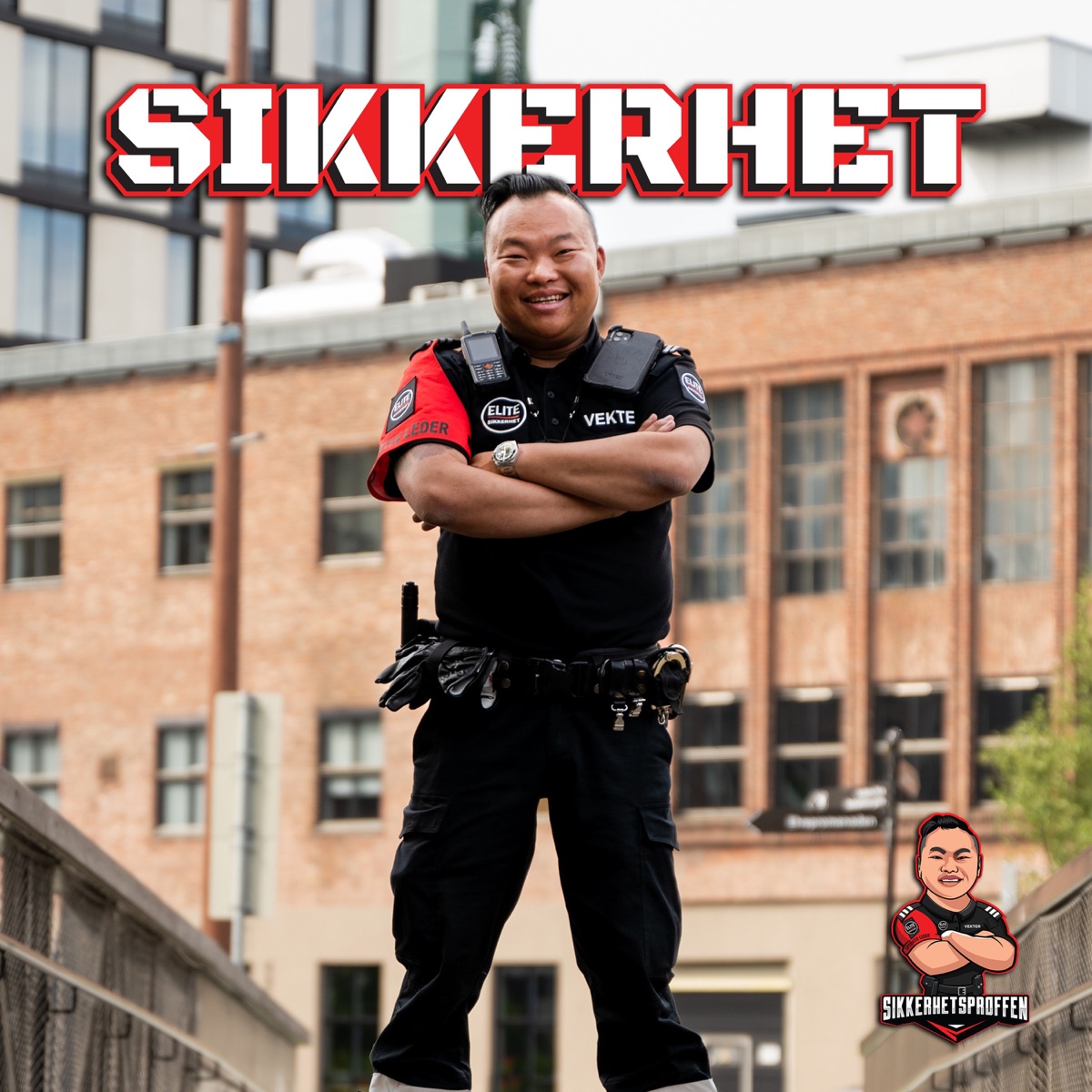 Sikkerhet - Single by Sikkerhetsproffen album cover