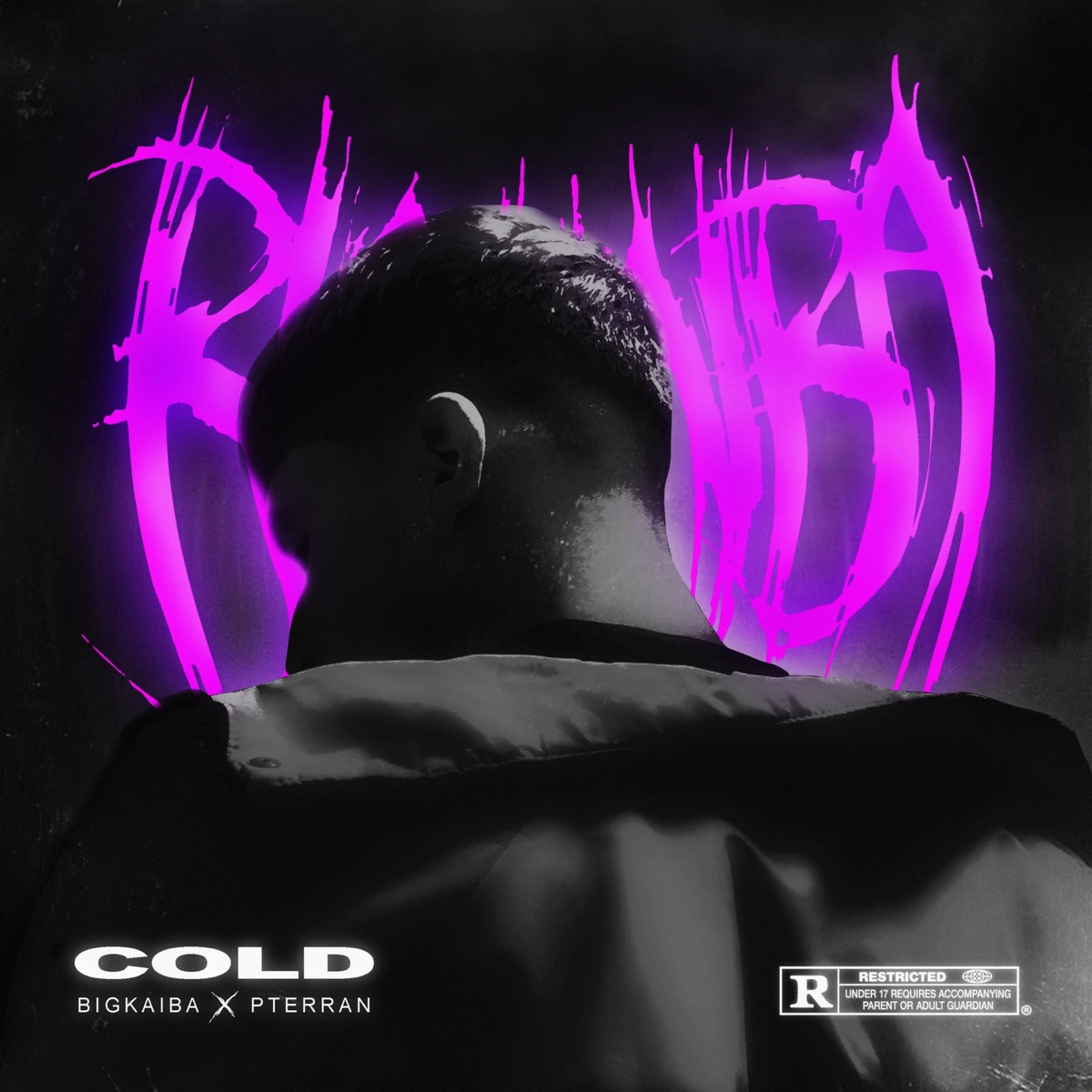 Cold - Single by BigKaiba & Pterran album cover