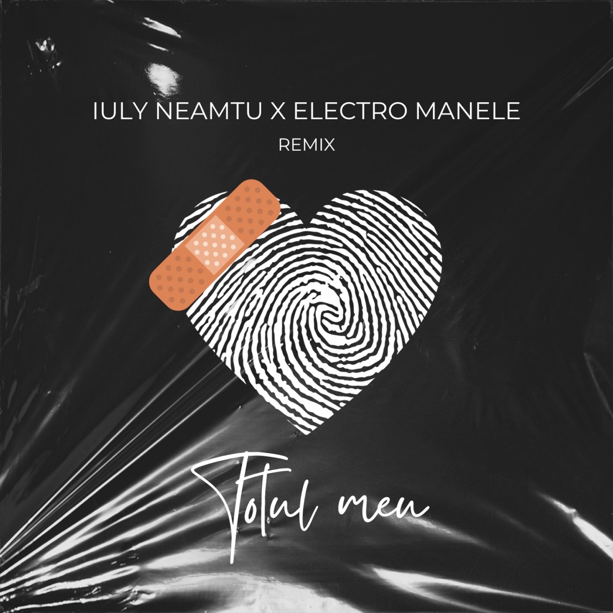 Totul meu (Remix) - Single by Electro Manele & Iuly Neamtu album cover