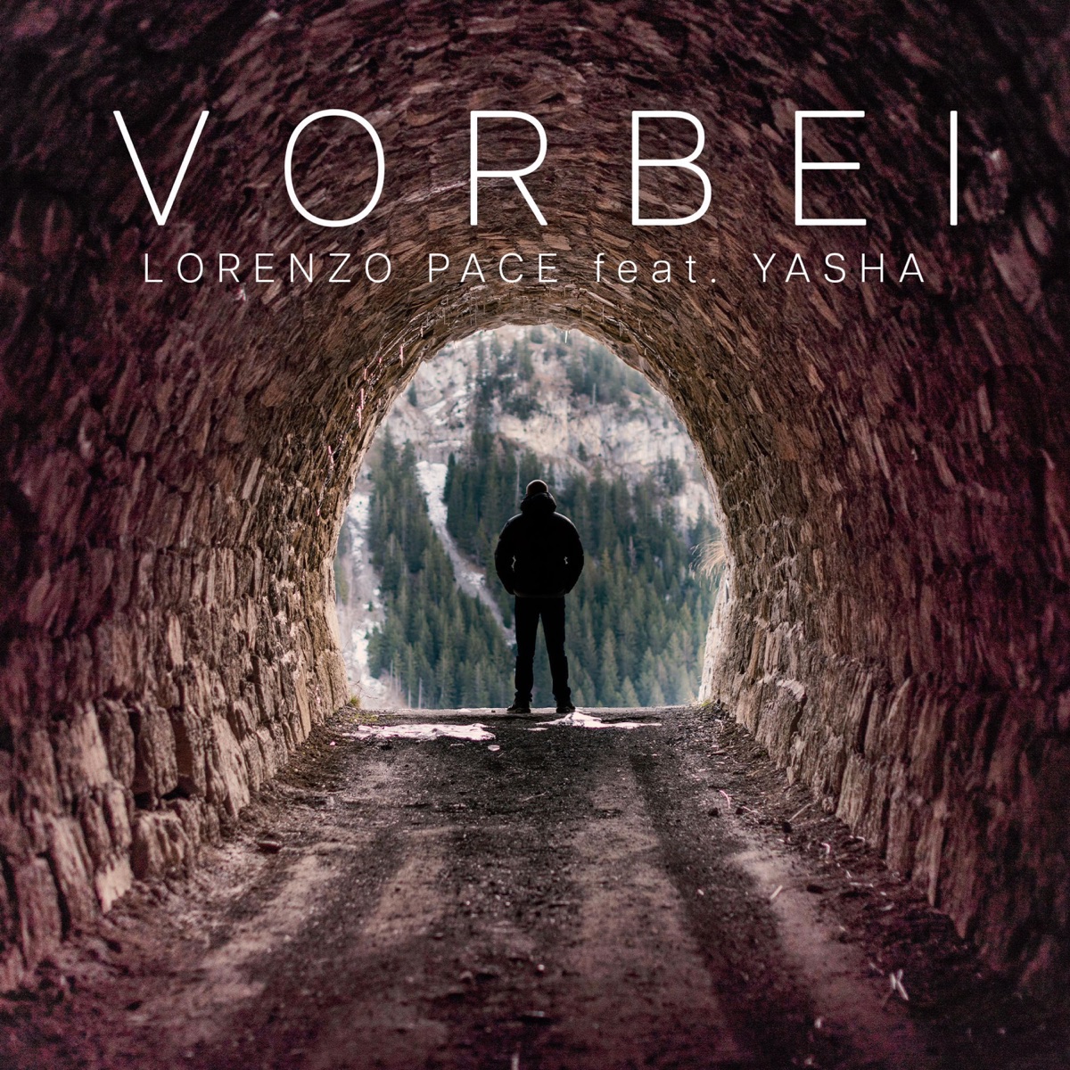 Vorbei (feat. YASHA) - Single by Lorenzo Pace album cover