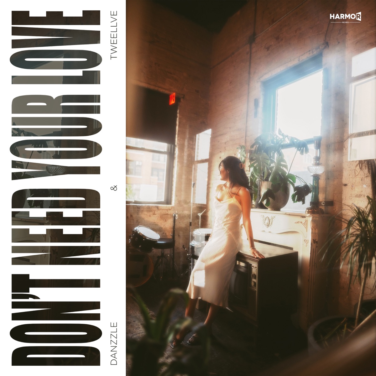 Don't Need Your Love - Single by Danzzle & Tweellve album cover