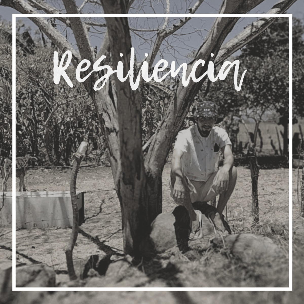 Resiliencia - Single by Pks skp album cover