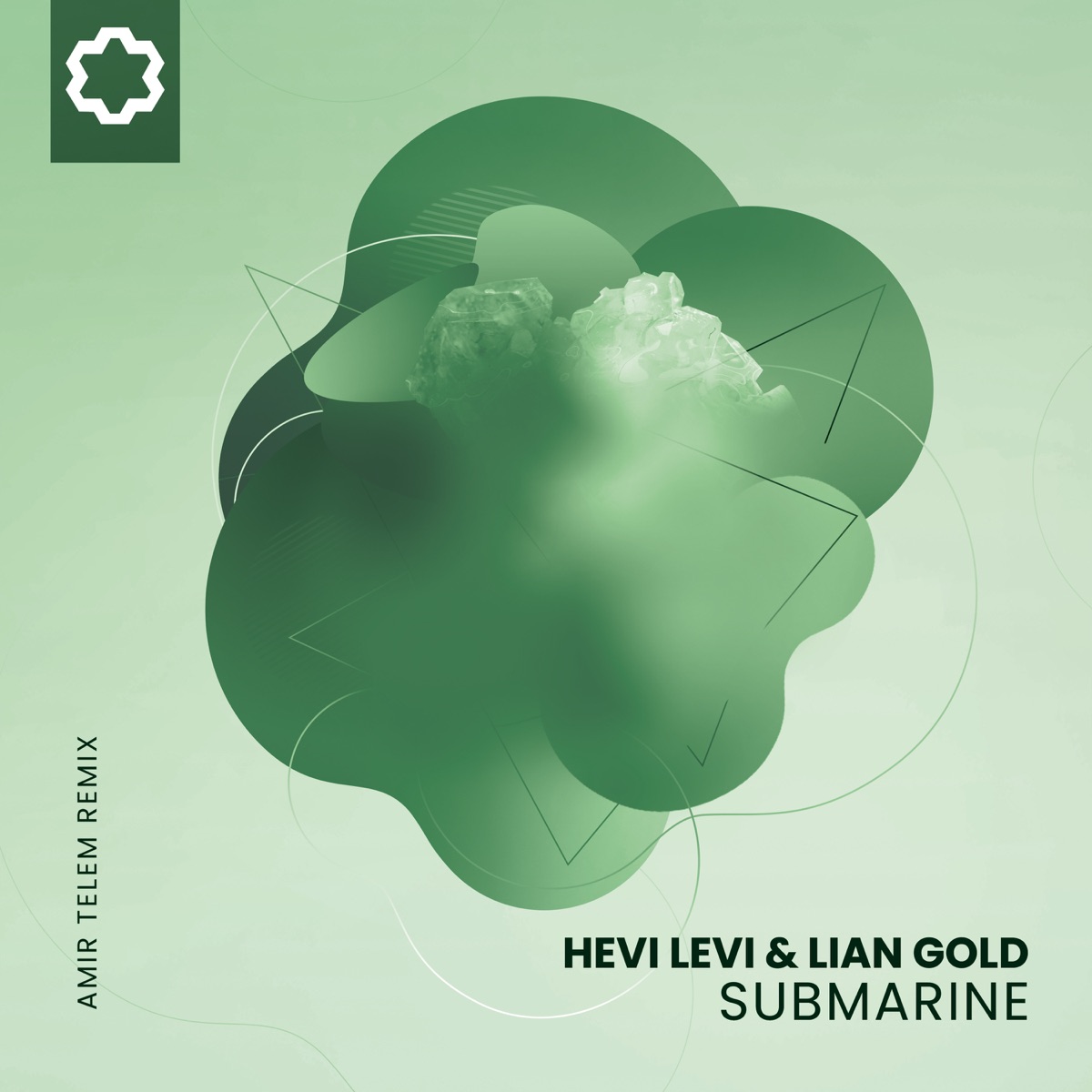 Submarine (Amir Telem Remix) - Single by Hevi Levi, Lian Gold & Amir Telem album cover